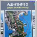 1월-제4차 정기산행- 부산 테마여행 이미지