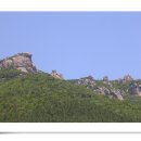 금산상사