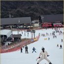 하얀나라 | 무주스키강습 하얀나라 스키샵 이용후기