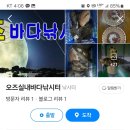 오즈실내바다 낚시터 이미지