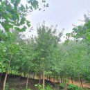 여주-0511 이미지