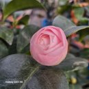 천중농장 이미지