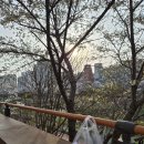 명지대맛집, 어글리김밥 솔직후기 (명지대맛집 가성비, 명지대 혼밥)