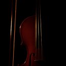 바이올린 심화과정 이미지