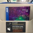 미라벨 펜션 | 2일 여행] 1일차 서울-강릉 KTX 이음 | 교동 김밥 | 사근진 해변 근처 미라벨 펜션 | 천둥 수산 배달 후기