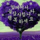 창조노인복지센터 이미지