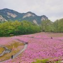 아모르 기타교실 (강좌번호:4) | [서울 노원구] 불암산나비정원