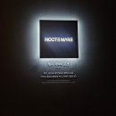 만성로 | 여수 녹테마레 종합권 후기｜여수가볼만한곳 실내 데이트 전시 추천