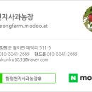 천지농장(2) 네이버블로그