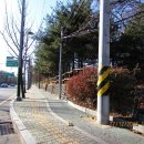 우면산6-11 이미지