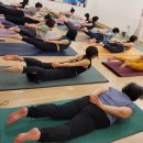 즈나냐요가원 | 일산요가, 스트레스와 일상의 피로감을 풀기위해 방문한 즈나냐요가원 후기
