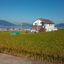 해바리민박 이미지