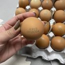 주령축산 이미지