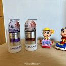 라메모리아 이미지