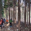 왕인박사유적지 관리사무소 이미지