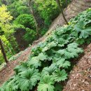 안녕농장 이미지