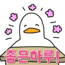 엘로우한우 이미지