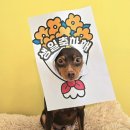 프롬몽쥬 | 일산 애견호텔/유치원 추천] &#34;겁 많은 강아지 ➡ 자신감 뿜뿜&#34; 다 프롬몽쥬 덕분입니다 👏 (ft. 찐 내돈내산)