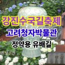 강진수국길축제 보은산V랜드, 고려청자박물관, 정약용유배길 수국천지, 꼭가봐야할곳 이미지