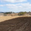 함평공설운동장 이미지