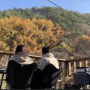 엘팝 네이버블로그
