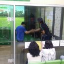 동해골프연습장 이미지