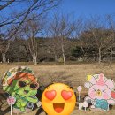 독천5일시장 | 영암 여행 1+1 (독천5일장, 왕인박사유적지, 달맞이공원)