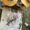 중동반석유치원 이미지