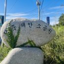 송지대죽리조개잡이체험장 네이버블로그