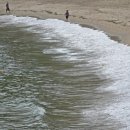 남일대해수욕장 이미지