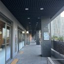 [김포] 베트남 쌀국수 전문 찐맛집! 걸포역 ‘월미당’ 후기