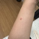 씨유대전장태산점 | 가을이 오긴 할까
