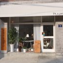 팡팡애견 | 인천브런치 맛집 용현동 피트어패트 애견동반카페