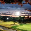 ㈜태영교통 이미지