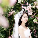 아우라D.S 이미지