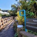 제주 올레길 7-1코스 이미지