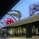 리와플하우스 | [마곡 카페] 원그로브 블루보틀 방문 후기! 메뉴 추천, 주차 정보