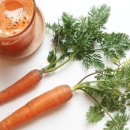 브릭스 제주 이미지