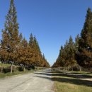 낙동강관리본부 맥도생태공원 3 | 부산 러닝코스 추천[맥도 생태공원] 후기｜강아지와 함께 뛰기 좋은 산책 러닝