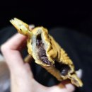 대현로 3 | 대구 붕어빵 맛집 &#34;숨붕&#34; n번째 내돈내산 방문 솔직 후기