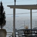 댕댕 하우스 | 인천 강화도 오션뷰 카페 : 카페109하우스