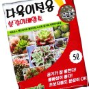 흙 - 양평군 은행나무길 381-1 | 흙