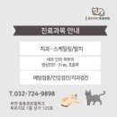 중동우리아이동물병원 이미지