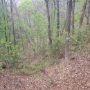 국사봉 지석묘군 이미지