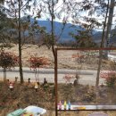 거슬러 오른집 이미지