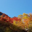 지기들과 신불,간월산 단풍과 억새 속에 풍덩 빠진 하루... 이미지