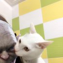 베니앤