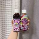 미듬우리약국 | 변비 해결사 테일러 푸룬주스 &amp; 푸룬딥워터 비교 리뷰