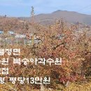 괴산군 불정면 사과과수원 전9천평 평당13만원 이미지