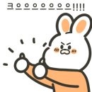 로티주얼리 이미지
